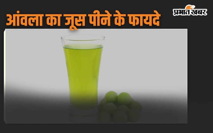 Amla Juice Benefits: सुबह खाली पेट पिएं एक कप आंवला का जूस, मिलेंगे अनगिनत फायदे