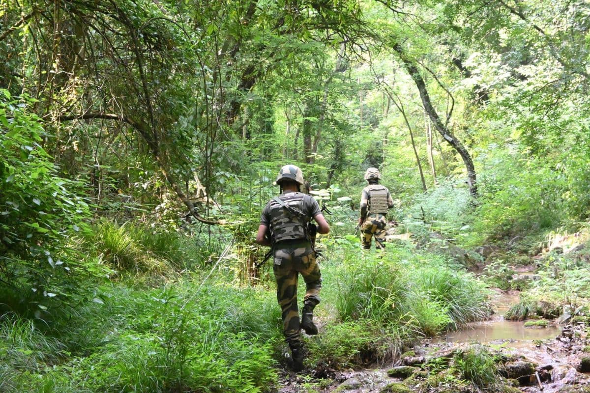 Chhattisgarh: рдирд╛рд░рд╛рдпрдгрдкреБрд░ рдореБрдарднреЗрдбрд╝ рдореЗрдВ 5 рдирдХреНрд╕рд▓реА рдвреЗрд░, рд╕реБрд░рдХреНрд╖рд╛рдмрд▓реЛрдВ рдиреЗ рдЗрд╕ рд╕рд╛рд▓ 138 рдХреЛ рдорд╛рд░ рдЧрд┐рд░рд╛рдпрд╛