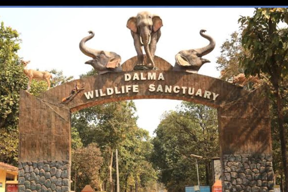 Dalma Wildlife Sanctuary