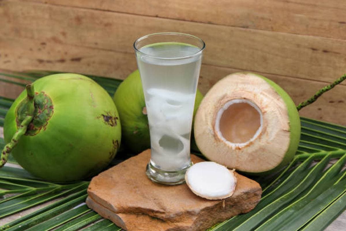 Coconut Water: डाभ खरीदते वक्त कैसे पहचानें ज्यादा पानी या ज्यादा है मलाई, ये है आसान तरीका