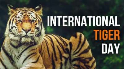 International Tiger Day 2024 : नेशनल टाईगर डे क्यों मनाया जाता है, जानें आज के दिन की थीम,इतिहास और ऐतिहासिक महत्व