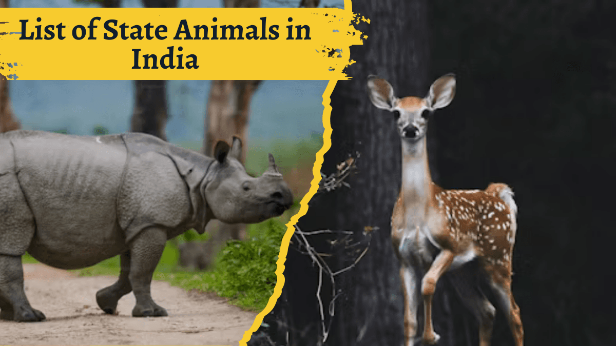List of State Animals in India List of State Animals in India