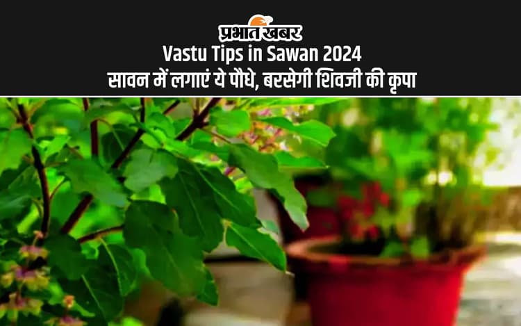 Vastu Tips in Sawan 2024: सावन में लगाएं ये पौधे, बरसती है शिव की कृपा