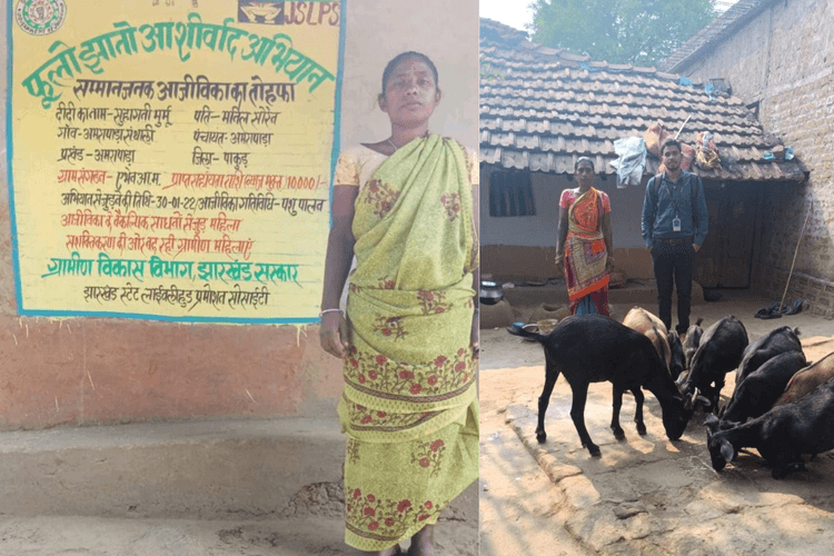 फूलो झानो आशीर्वाद योजना से बदली पाकुड़ की सुहागनी की किस्मत, इस बिजनेस से बनी आत्मनिर्भर