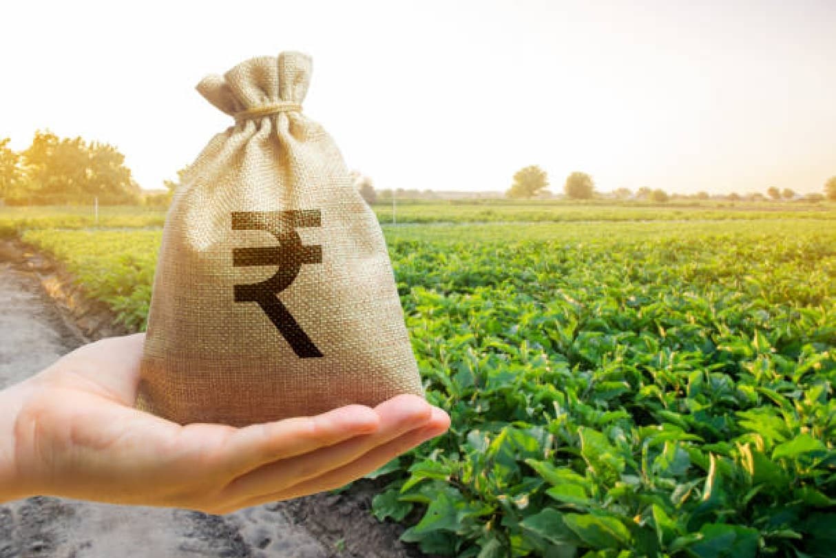 बिहार के किसानों को बड़ी राहत, कृषि ऋण पर मिलेगी अतिरिक्त ब्याज सब्सिडी