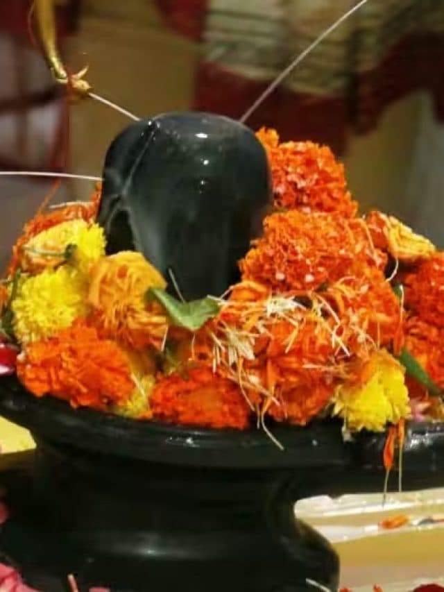 क्या आप जानते है सावन मास में रुद्राभिषेका का महत्व