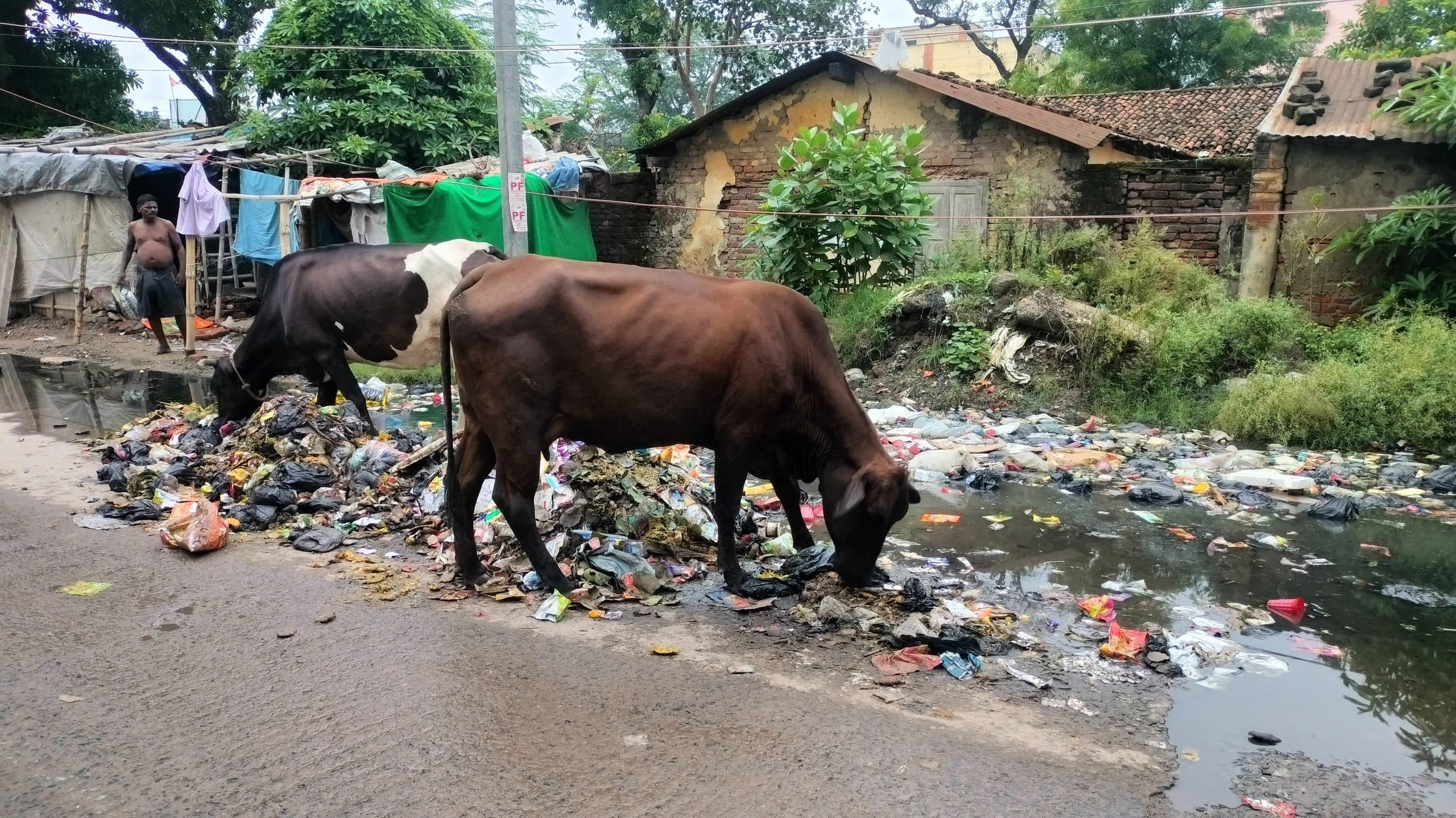 बरसात पूर्व नगर निगम के तैयारी की खुली पोल, ऐसा कोई सड़क, गली बचा नहीं जहां जलजमाव हुआ नहीं