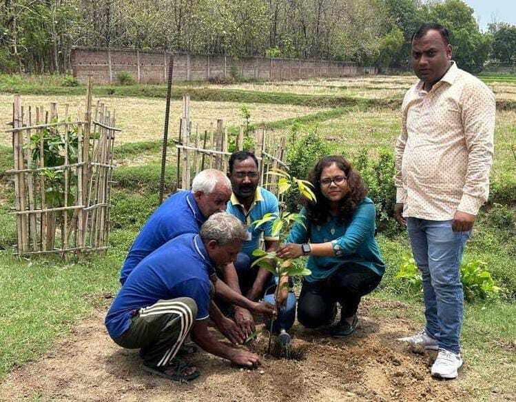 सब्जी लोडेड ट्रक पलटा, बचे चालक-खलासी
