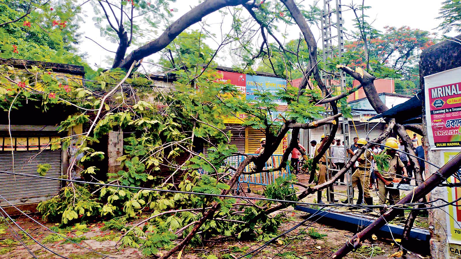 लगातार बारिश से कई पेड़ गिरे, यातायात बाधित
