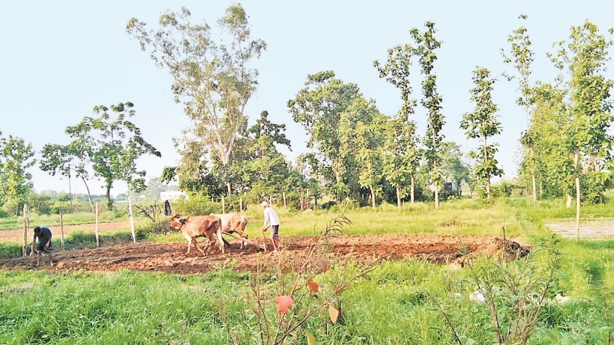बरसे मेघ, गांवों में खेती की तैयारी में जुटे कृषक