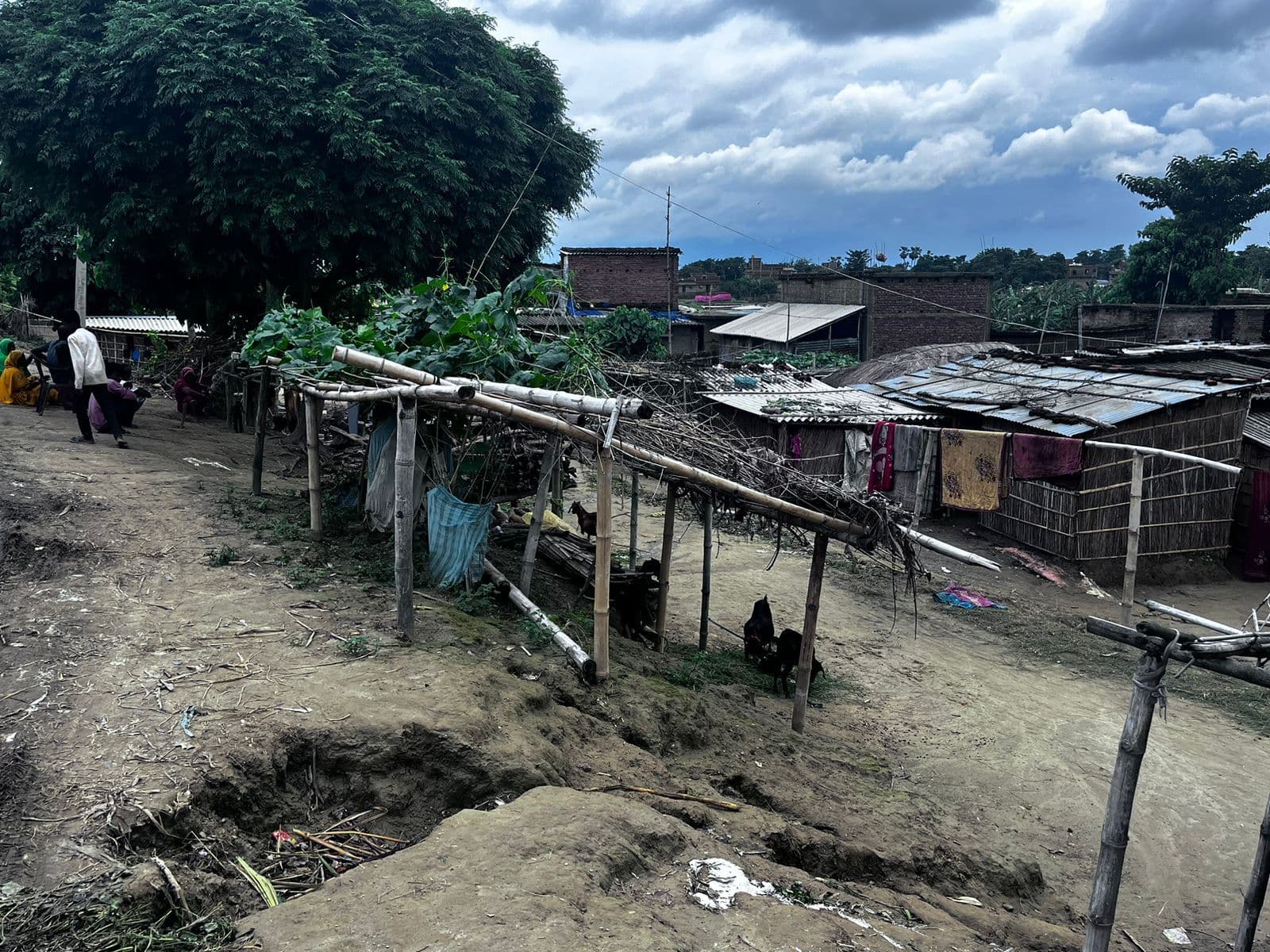 बागमती के पुराने तटबंध में छह स्थानों पर बना रेनकट