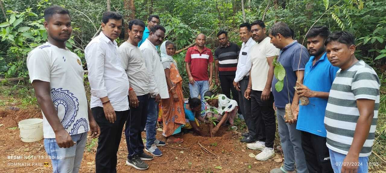 सुंदरनगर में भाजपा कार्यकर्ताओं ने एक पौधा मां के नाम लगाया