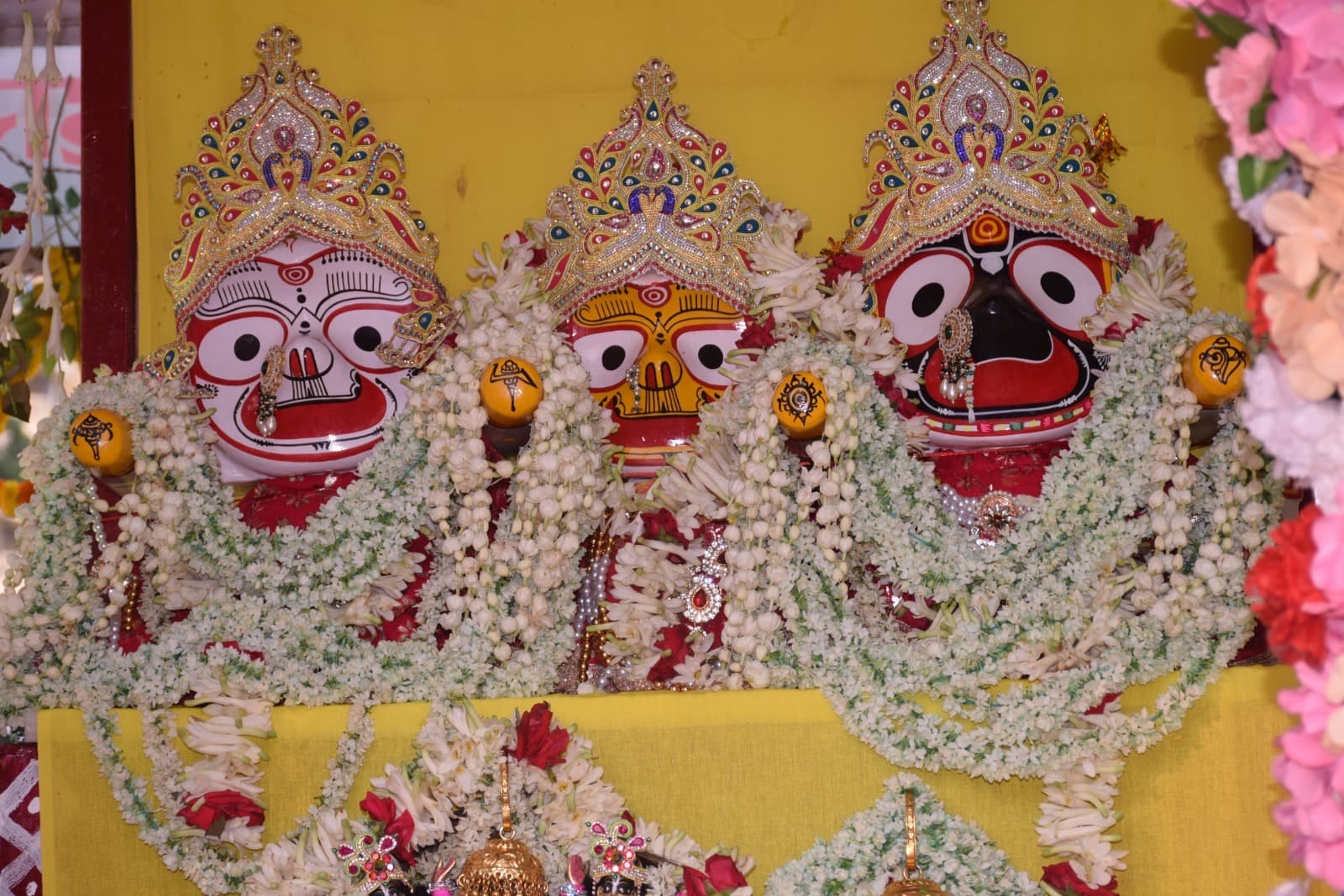 भाई-बहन के साथ मौसी बाड़ी पहुंचे भगवान जगन्नाथ की खूब हो रही आवभगत