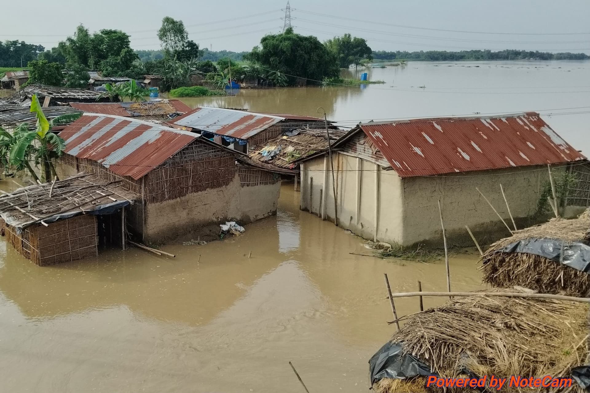अमौर प्रखंड में बाढ़ से मची तबाही, गांवों संपर्क भंग, कई घर ध्वस्त