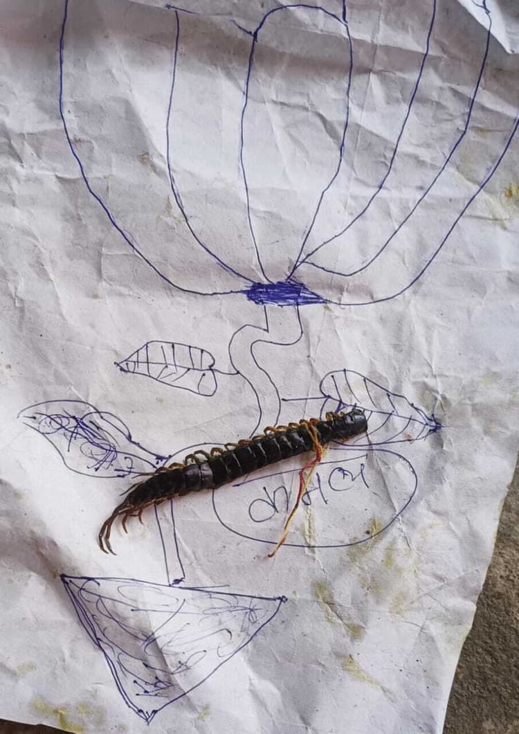 मध्य विद्यालय दुर्गापुर के मध्याह्न भोजन में कनखजूरा मिलने से बच्चों ने किया हंगामा