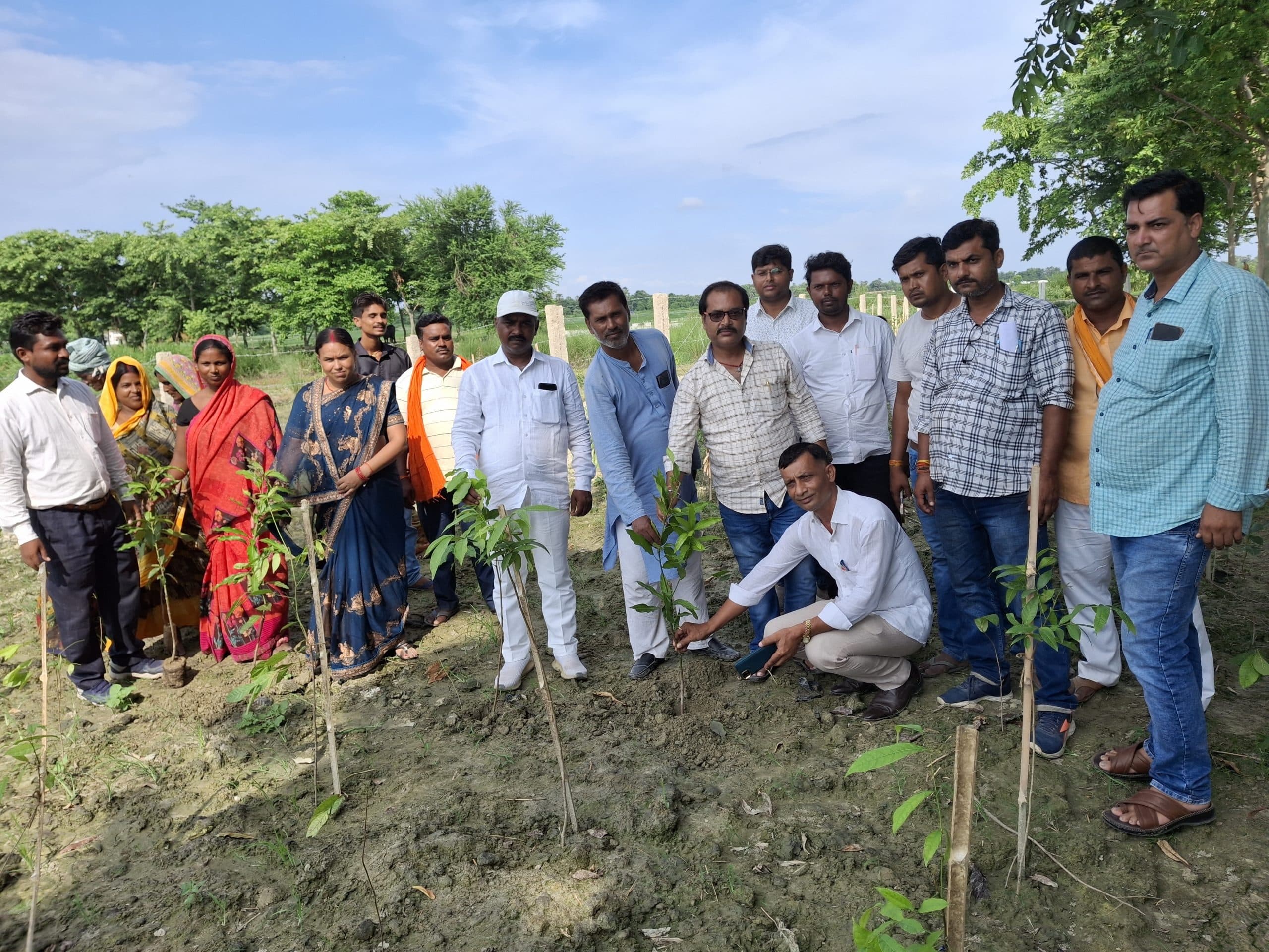 मोरवा प्रखंड में लगेंगे चालीस हजार पौधे