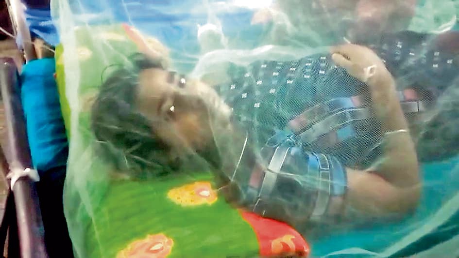 पुरुलिया में मिले डेंगू के 18 मरीज