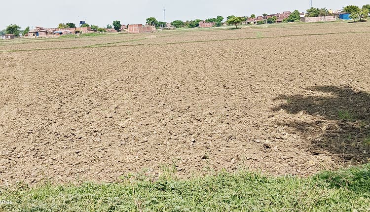 सूखे की आहट से सहमे किसान, खेतों में उड़ रही धूल