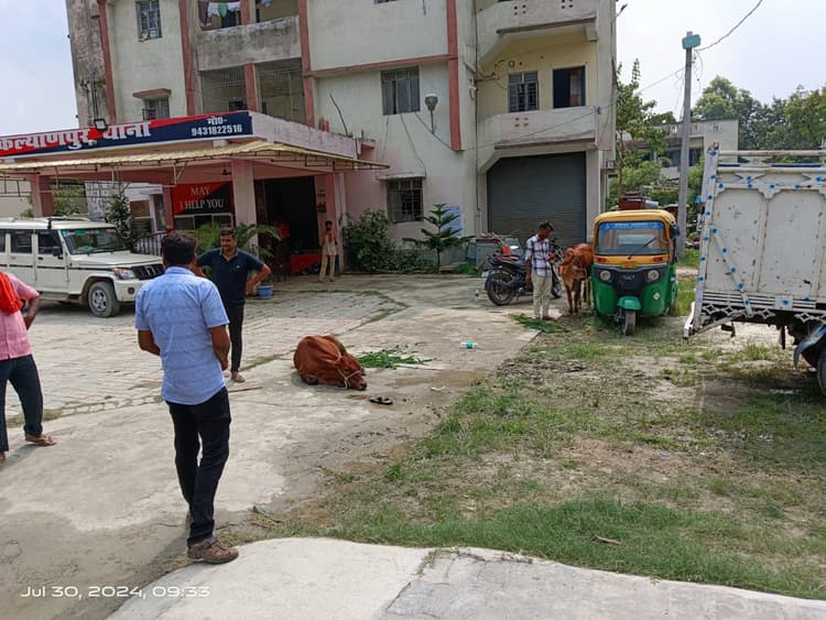 तस्करी को जा रहे पशु बरामद, पुलिस पर पथराव, दो तस्कर गिरफ्तार