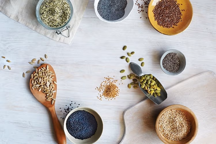 Healthy Seeds : कौन से बीजों में होता है, मांस से भी ज्यादा प्रोटीन? जानिए