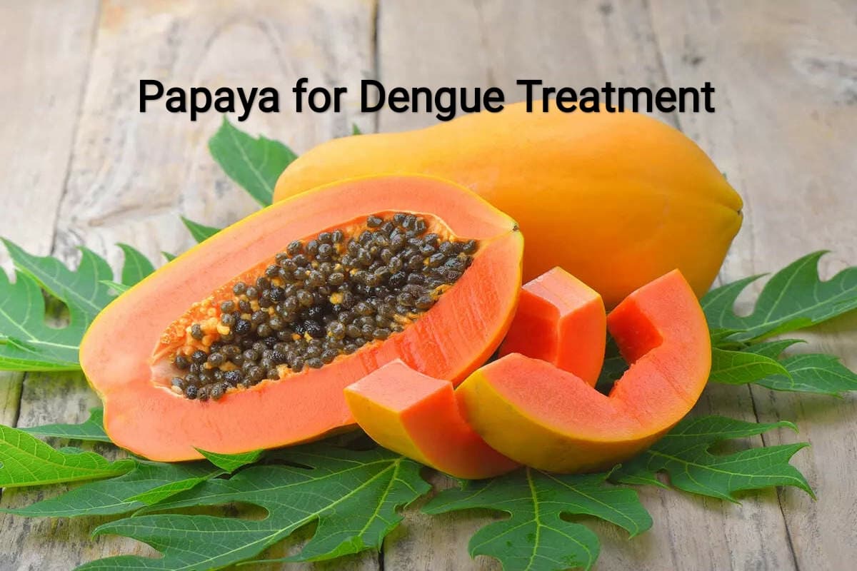 Dengue : क्या सच में डेंगू में प्लेटलेट काउंट बढ़ाने में मदद करता है बकरी का दूध और पपीते का पत्ता..