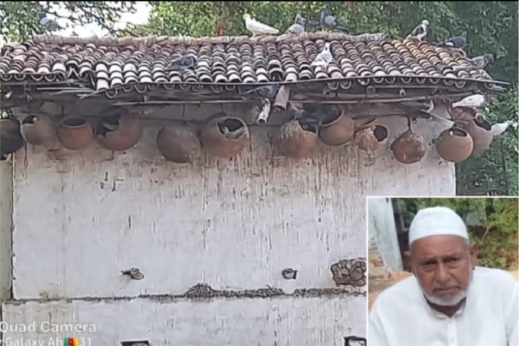 बिहार के इस गांव में एक कमरे में रहते हैं सैकड़ों रंगीन पक्षी, 80 सालों से एक परिवार कर रहा सेवा