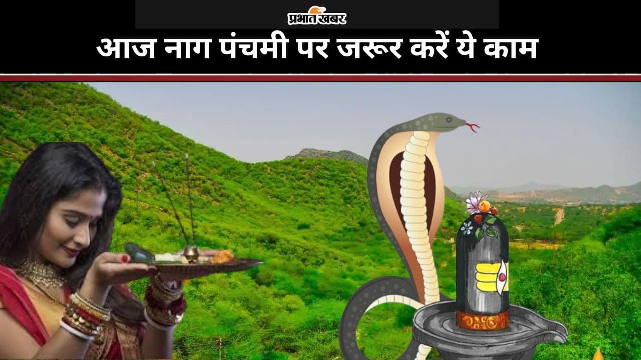 Nag Panchami 2024: राहु-केतु और कालसर्प दोष से छुटकारा पाने के लिए आज जरूर करें ये काम, जानें किन बातों का रखना होगा ख्याल Nag Panchami 2024: राहु-केतु और कालसर्प दोष से छुटकारा पाने के लिए आज जरूर करें ये काम, जानें किन बातों का रखना होगा ख्याल