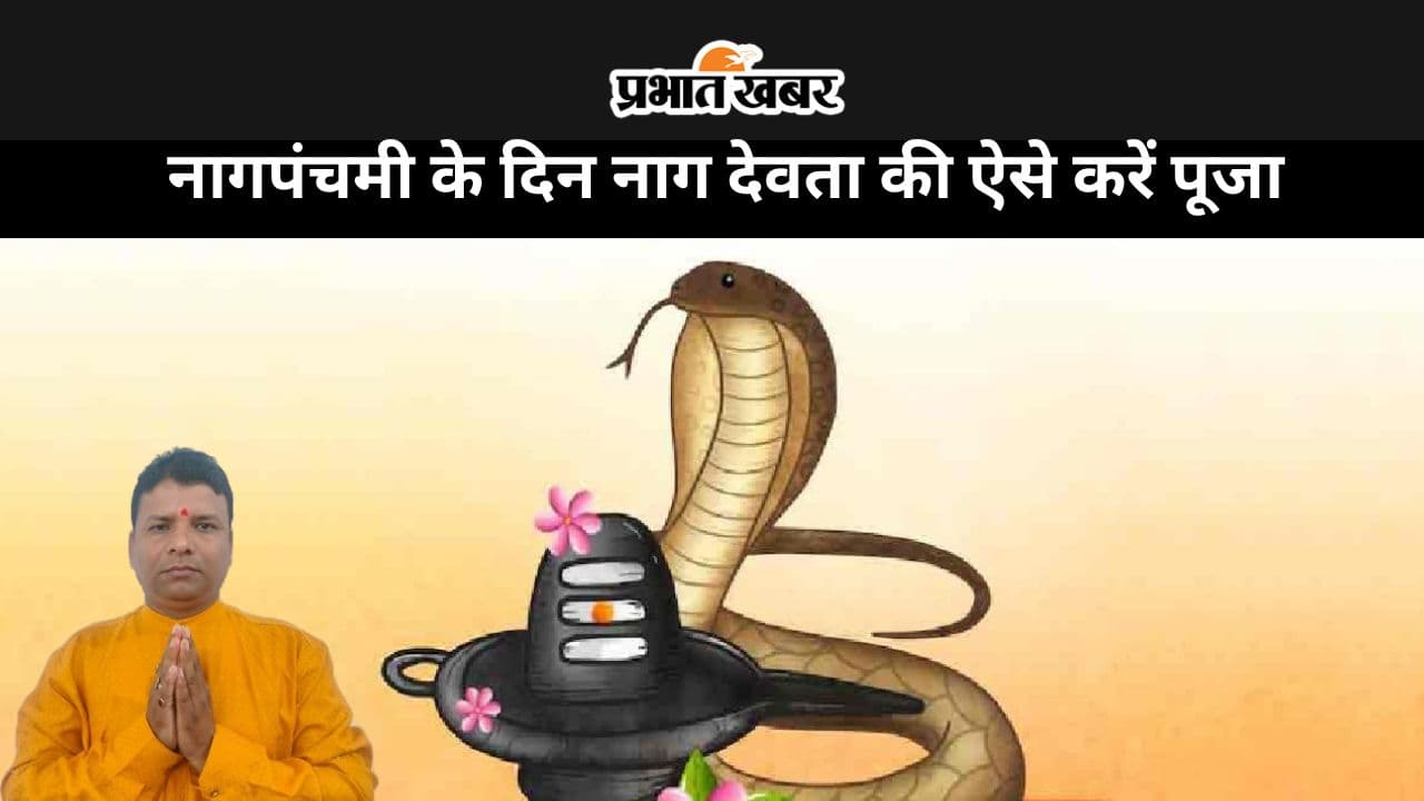 Nag Panchmi 2024 Date: नागपंचमी के दिन नाग देवता की पूजा से पाएं धन-धान्य और सुख समृद्धि, कालसर्प दोष और पितृदोष का भी होगा निवारण Nag Panchmi 2024 Date: नागपंचमी के दिन नाग देवता की पूजा से पाएं धन-धान्य और सुख समृद्धि, कालसर्प दोष और पितृदोष का भी होगा निवारण