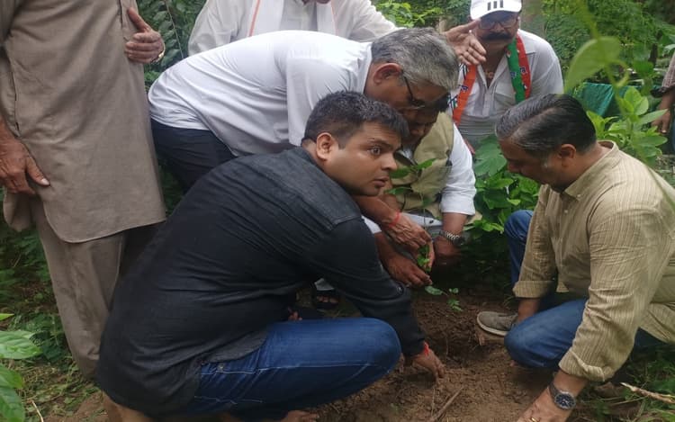 78 वें स्वतंत्रता दिवस के अवसर पर अखिल भारतीय पंचायत परिषद में किया पौधारोपण, पंचायतों को आत्मनिर्भर बनाने का लिया संकल्प