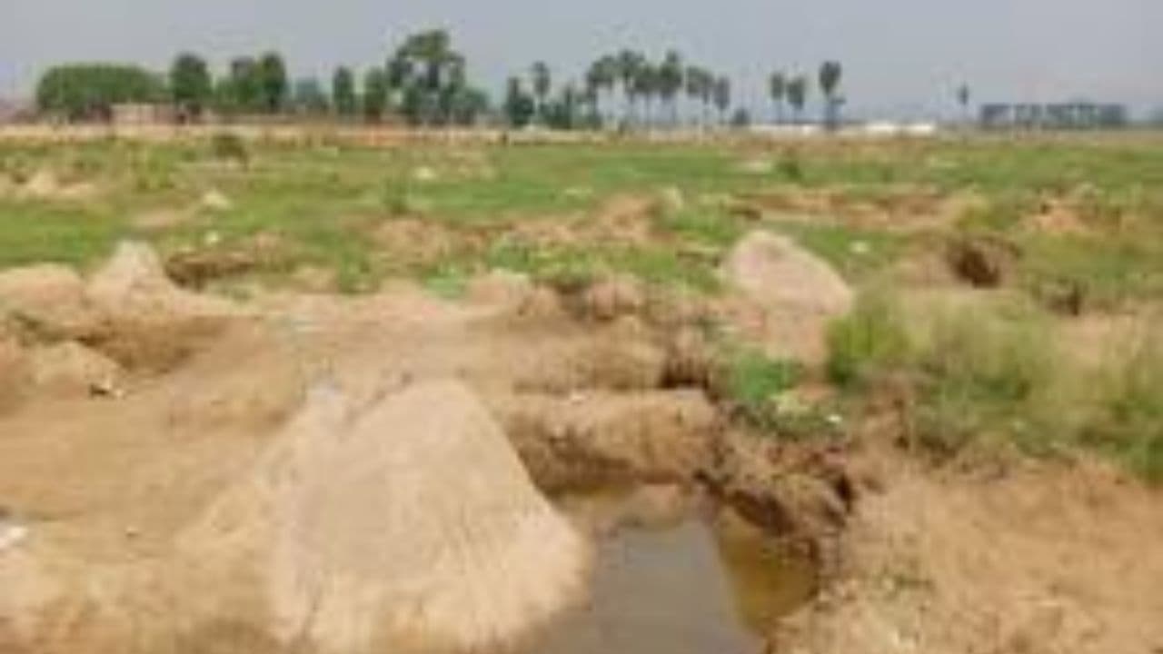 Bihar News: बालू के अवैध धंधे की पागलपन प्रवृत्ति ने खखोर लिया ओढ़नी का तटबंध, बांध काटकर बना दिया गया रास्ता