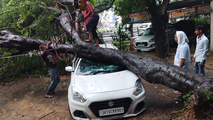 बोकारो का मौसम : लगातार बारिश से जनजीवन अस्त-व्यस्त, पेड़ गिरे, सड़कों पर जलजमाव