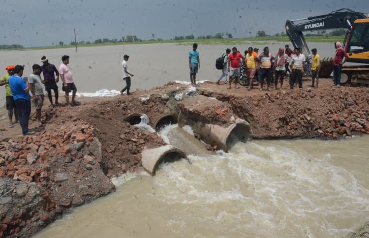 PHOTOS: बिहार में नवगछिया के कई गावों पर बाढ़ का खतरा, भागलपुर में सड़क और रेलमार्ग पर भी संकट गहराया