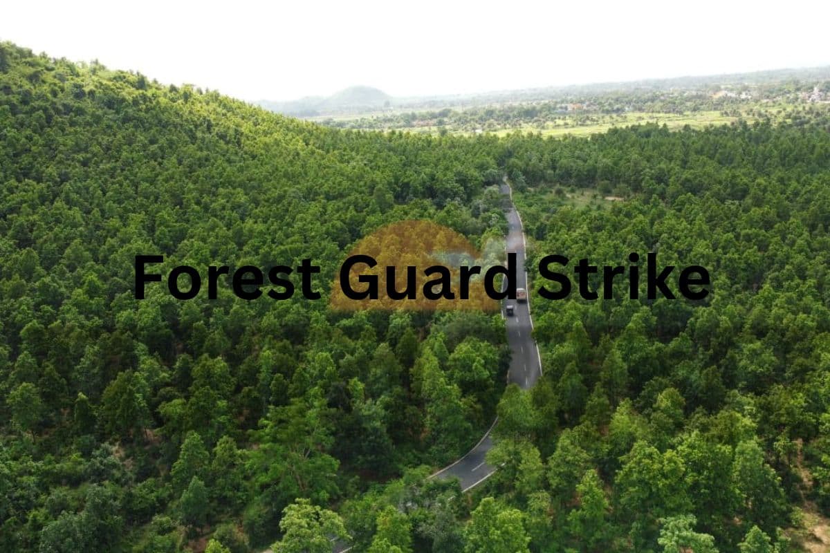 झारखंड के चतुर्थ वर्गीय कर्मचारियों के बाद वनरक्षी भी आज से अनिश्चितकालीन हड़ताल पर, जानें क्या है वजह