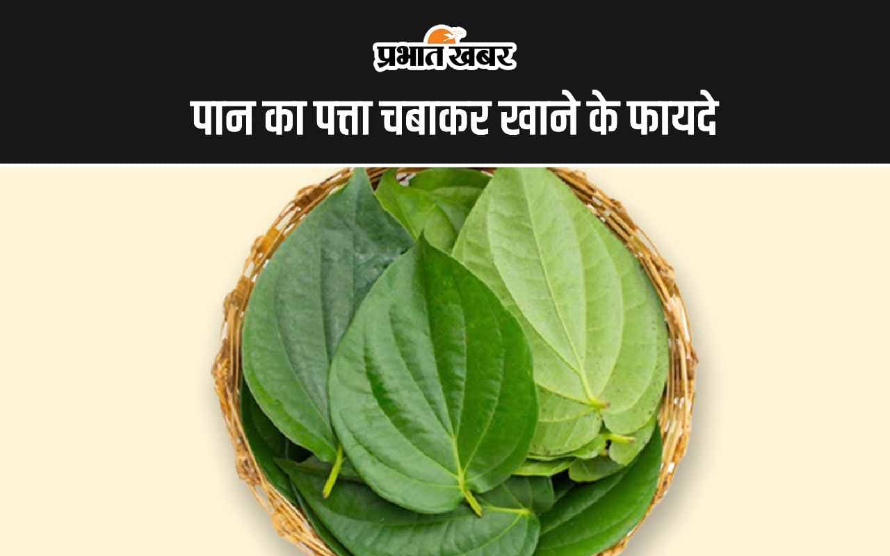 Betel Leaf Benefits: पान का पत्ता चबाकर खाने के ये हैं अद्भुत 5 फायदे