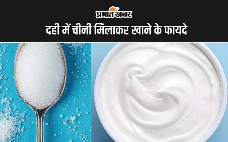 Curd With Sugar Benefits: दही में चीनी मिलाकर खाने के 5 अद्भुत फायदे