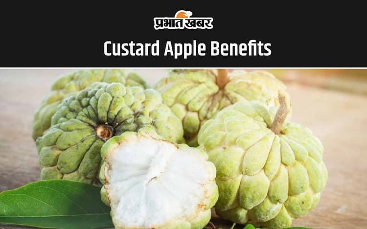 Custard Apple Benefits: शरीफा खाने के ये हैं 5 सबसे अद्भुत फायदे