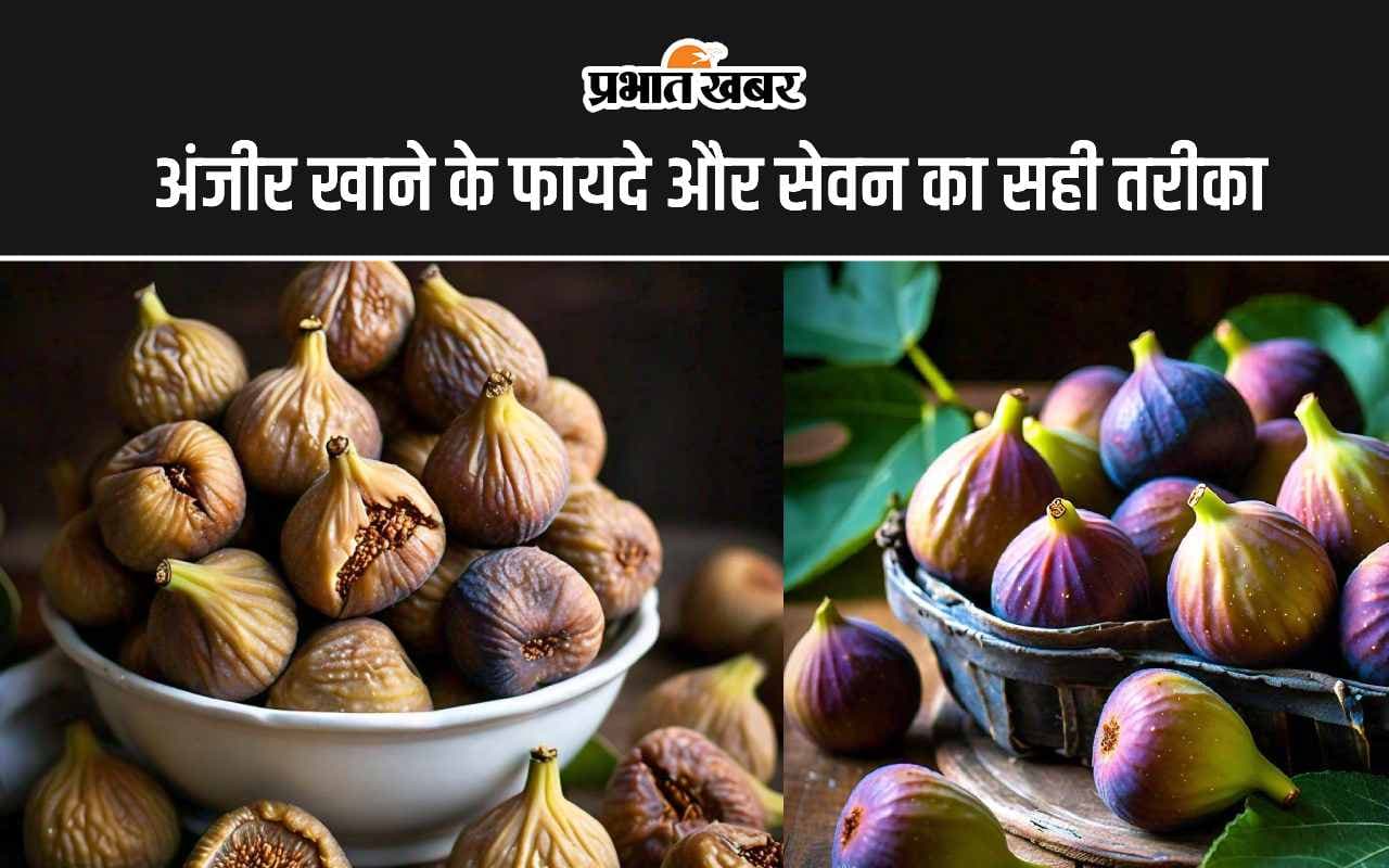 Figs Benefits: क्या आप भी हेल्दी रहने के लिए खाते हैं अंजीर? जानिए इसके सेवन का सही तरीका