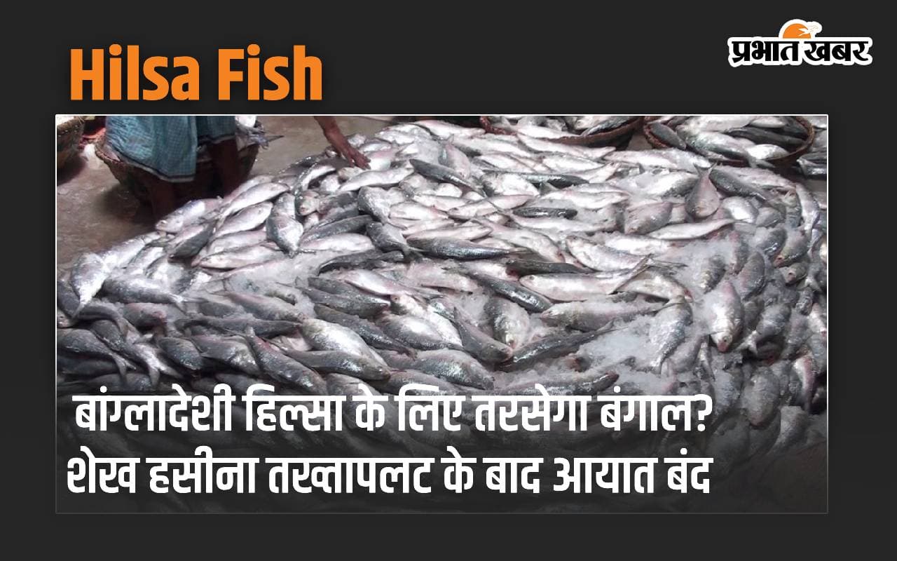 बांग्लादेशी हिल्सा के लिए तरसेगा बंगाल? शेख हसीना तख्तापलट के बाद आयात बंद