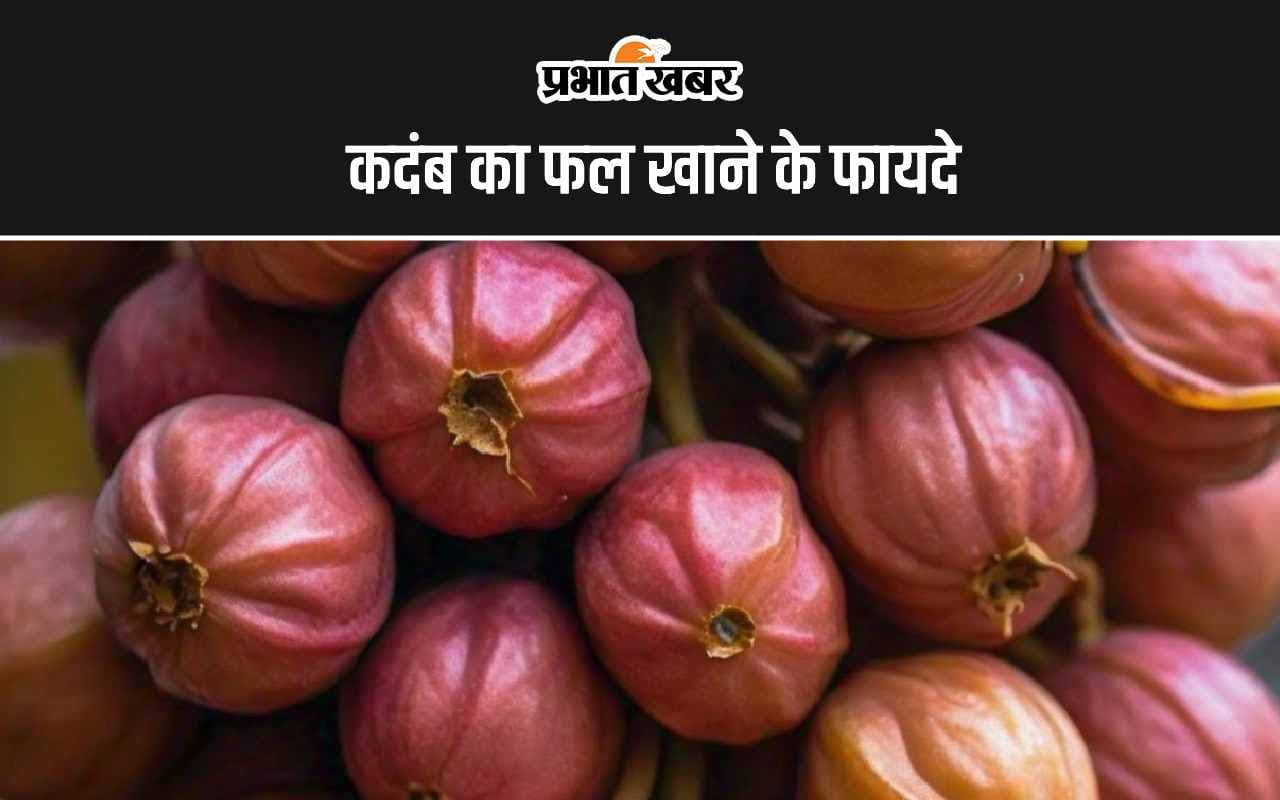 Kadam Fruit benefits: इस फल में भरे हैं कूट-कूट कर औषधीय गुण, डायबिटीज समेत इन बीमारियों से मिलता है निजात