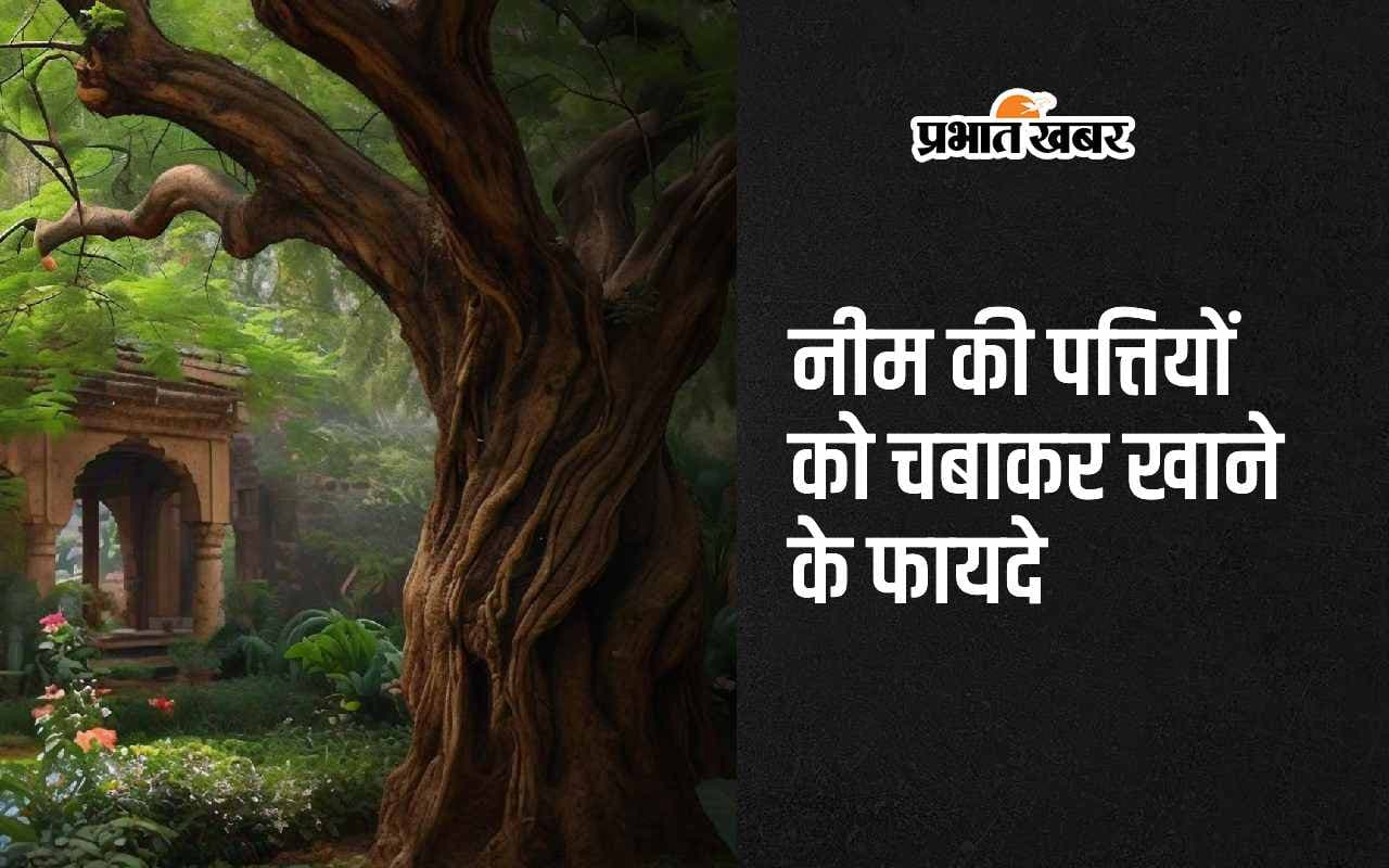 Neem Benefits: नीम की पत्तियों को चबाकर खाने के 5 अद्भुत फायदे