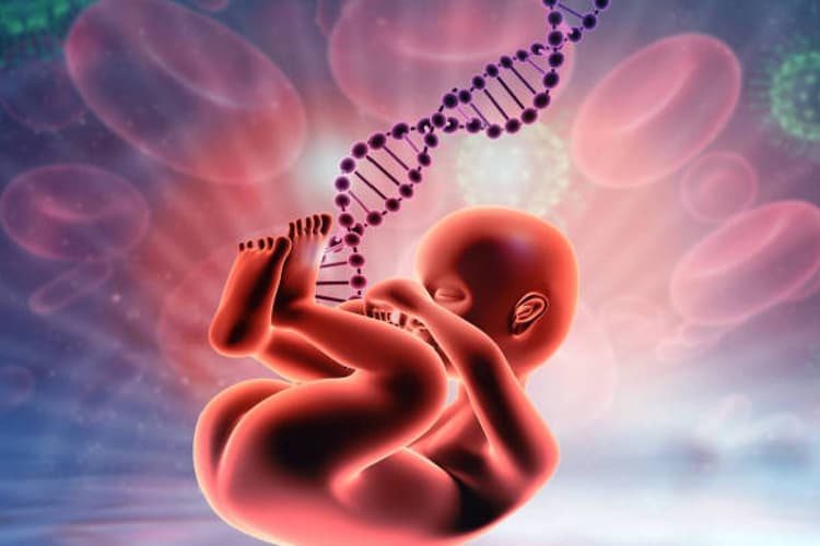 Y Chromosome: अब धरती पर पैदा नहीं होंगे लड़के, केवल लड़कियां लेंगी जन्म! रिसर्च ने मचाई सनसनी, जानें क्या है सच्चाई
