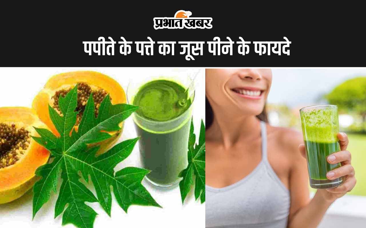 Papaya Leaf Juice Benefits: ये हैं पपीते के पत्ते का जूस पीने के 5 सबसे अद्भुत फायदे