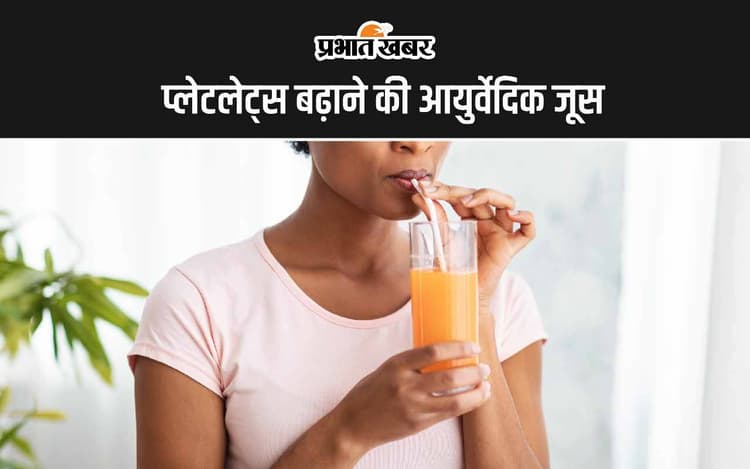 Ayurvedic Remedies: प्लेटलेट्स बढ़ाने की आयुर्वेदिक जूस