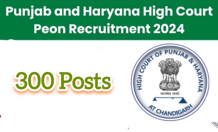 Punjab and Haryana High Court Recruitment 2024: 300 पदों पर भर्ती के लिए करें आवेदन, देखें विस्तृत जानकारी