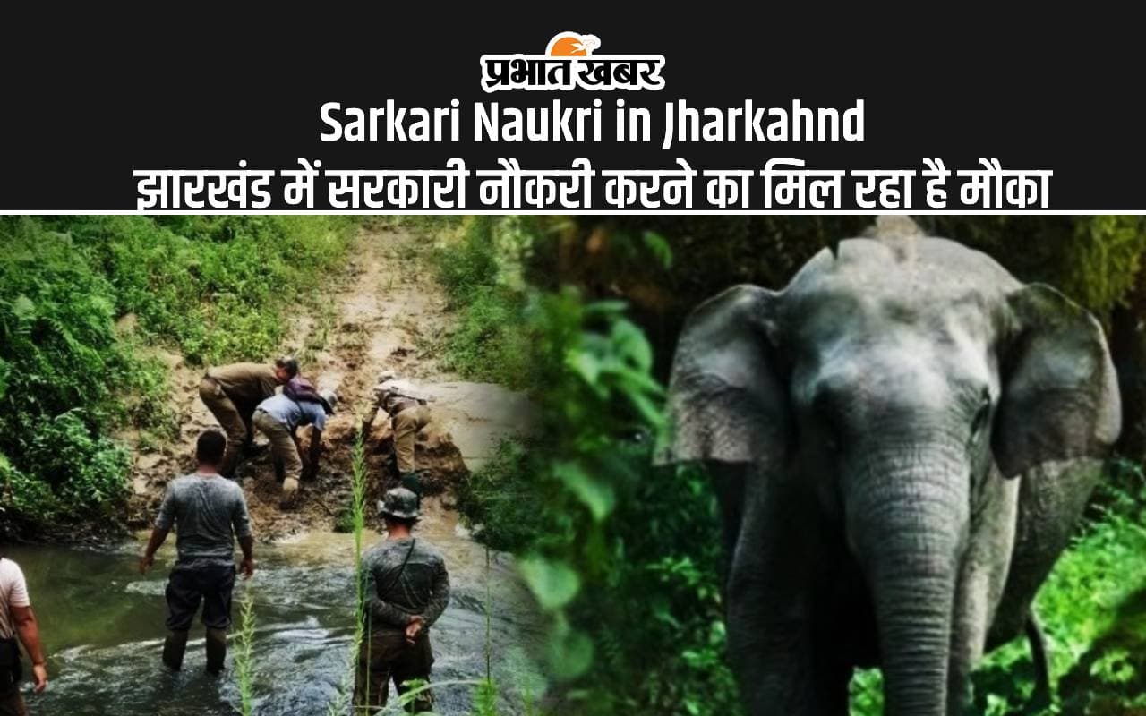 JPSC Vacancy: झारखंड लोक सेवा आयोग ने निकाली इन पदों के लिए नियुक्ति, इतनी मिलेगी सैलरी
