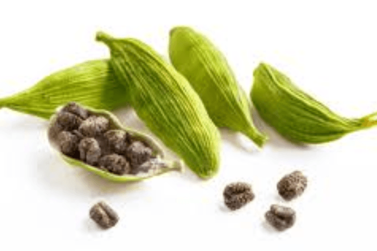 Health Benefits: इलायची, आपके स्वास्थ्य के लिए एक चमत्कारी मसाला