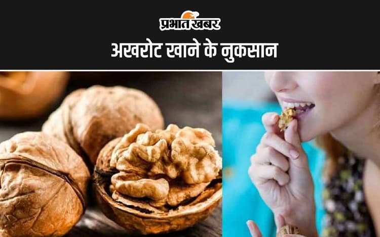 Walnuts Disadvantages: अखरोट खाने के नुकसान, जानिए किन लोगों को नहीं खाना चाहिए अखरोट
