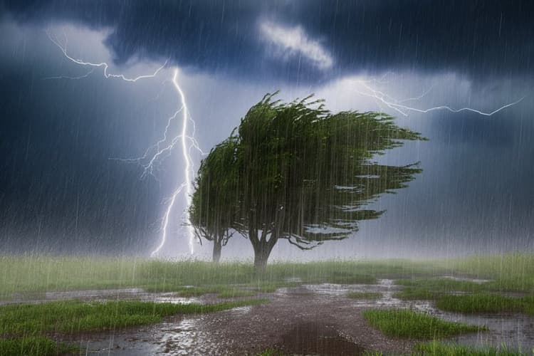 UP Weather: आगामी दिनों में यूपी में होगी तेज बारिश, IMD ने जारी किया अलर्ट