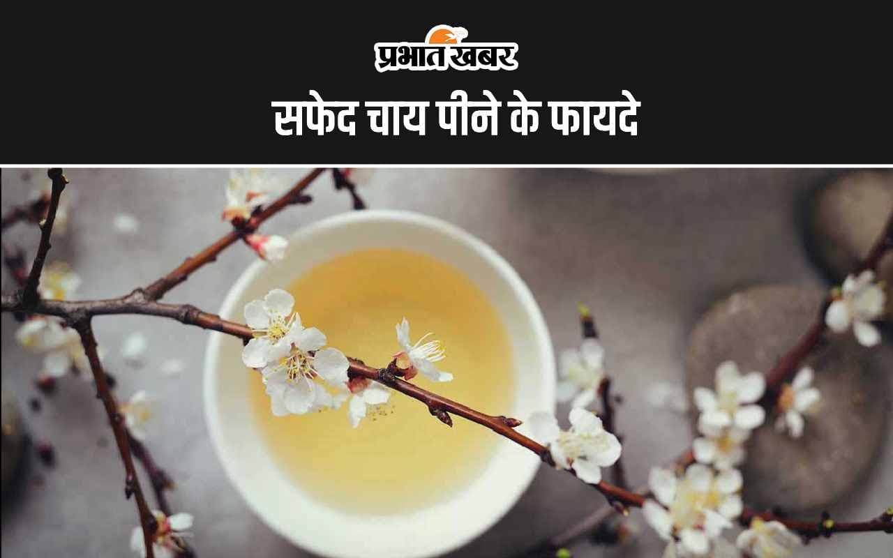 White Tea Benefits: सफेद चाय पीने से क्या होता है? जानिए इसके फायदे