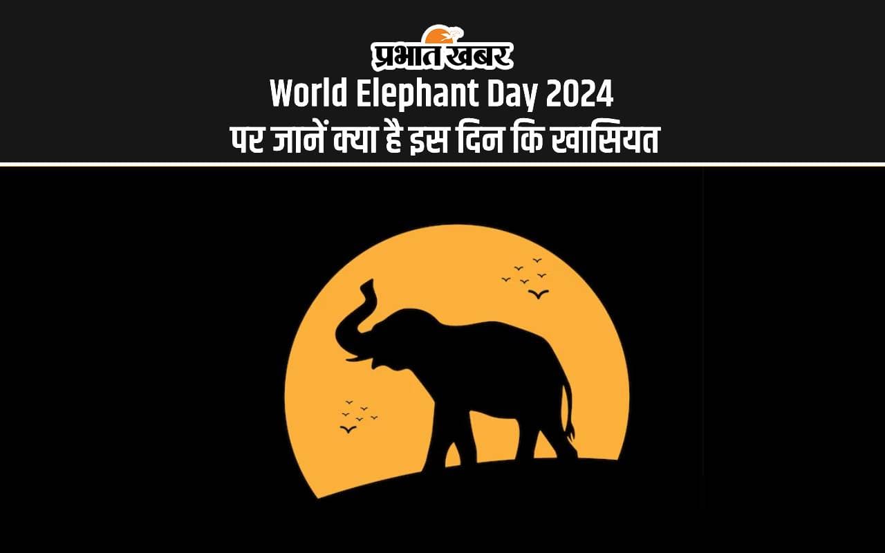 World Elephant Day 2024: विश्व हाथी दिवस पर आज जानें क्या है इस दिन का इतिहास, महत्व और इस साल की थीम World Elephant Day 2024: विश्व हाथी दिवस पर आज जानें क्या है इस दिन का इतिहास, महत्व और इस साल की थीम